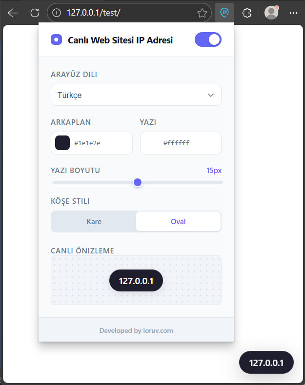 Canlı Web Sitesi IP Kontrolü: Tarayıcı API’si ile Gerçek Sunucu Analizi